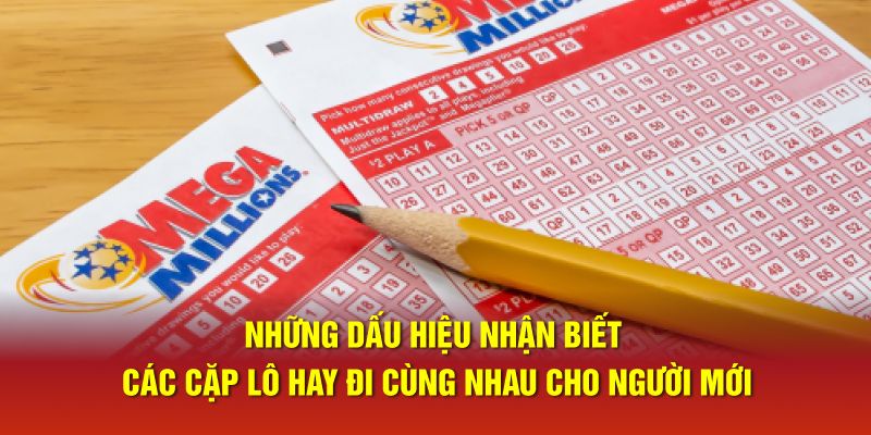 Những dấu hiệu nhận biết các cặp lô hay đi cùng nhau cho người mới